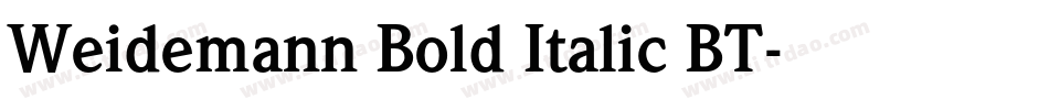 Weidemann Bold Italic BT字体转换